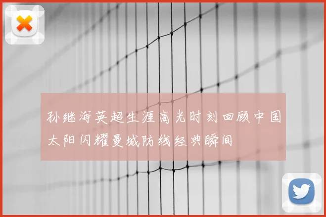 孙继海英超生涯高光时刻回顾中国太阳闪耀曼城防线经典瞬间