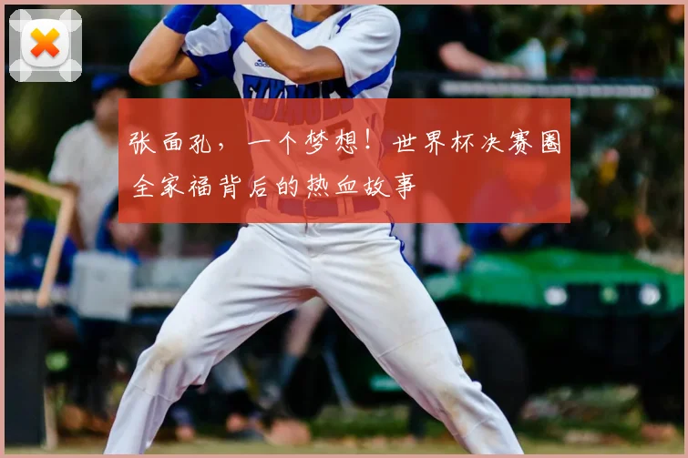 张面孔，一个梦想！世界杯决赛圈全家福背后的热血故事